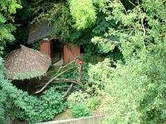 149 BIO PARC DE DOUE LA FONTAINE 4- 2016_000031